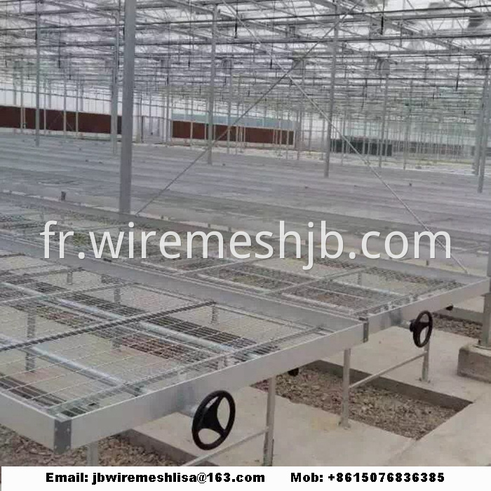 Galvanized Welded Wire Mesh Greenhouse Rolling Benches